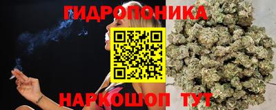 кокс Новокубанск