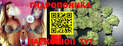 кокс Новокубанск